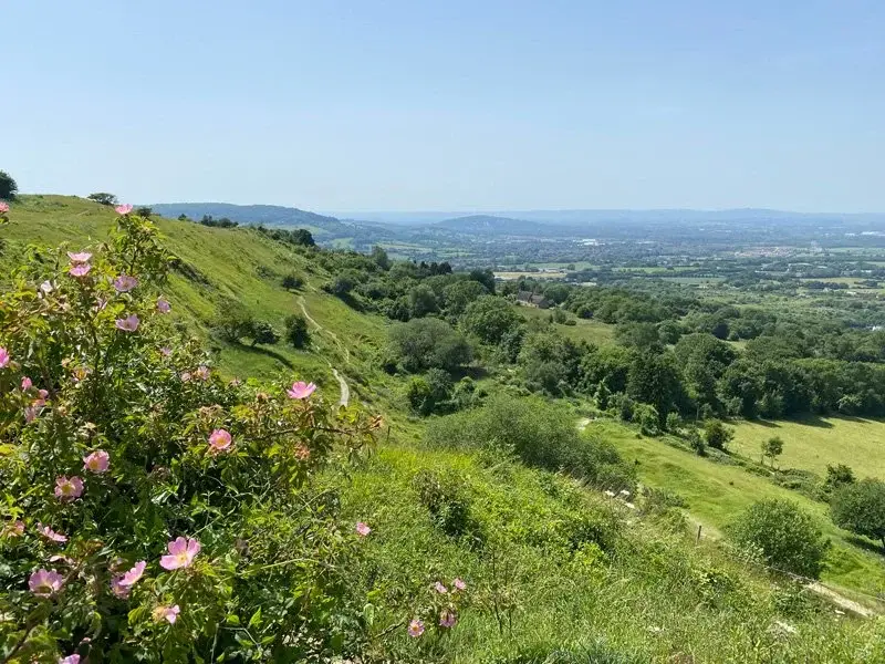 A view from Crickley Hill