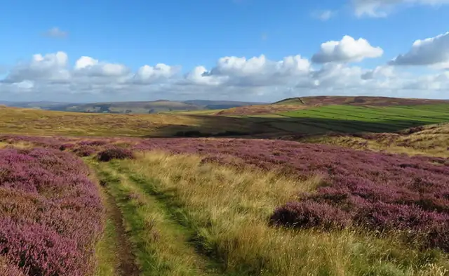Abney Grange walk, Derbyshire