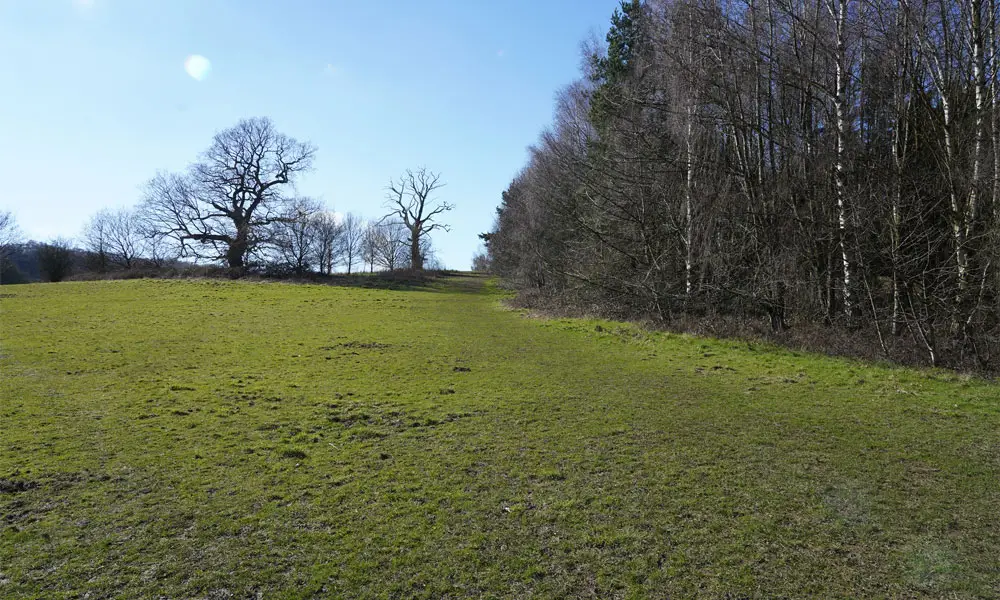 Allestree Park Walks, Derbyshire