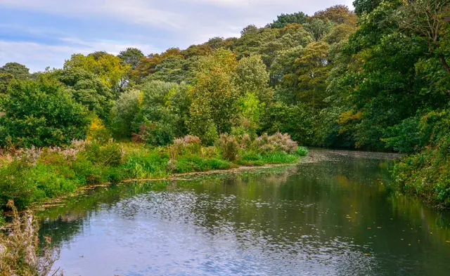 Bluebank Pools Walk, Derbyshire