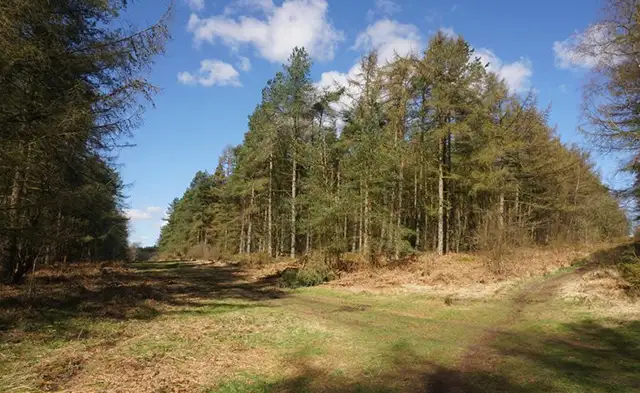 Bottom Moor Walks, Derbyshire