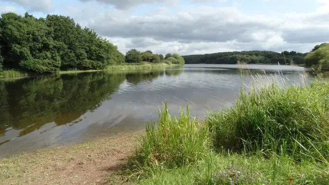 Calke Park Walk, Derbyshire