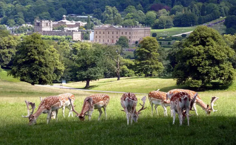 Calton Lees Walks, Derbyshire