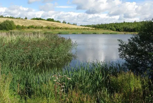 Grassmoor walk, Derbyshire