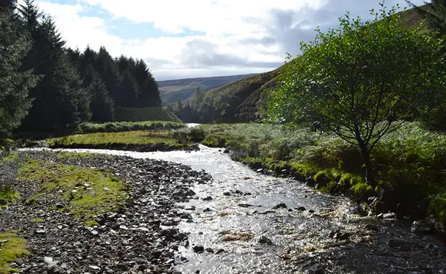 Lady Clough Moor Walks, Derbyshire