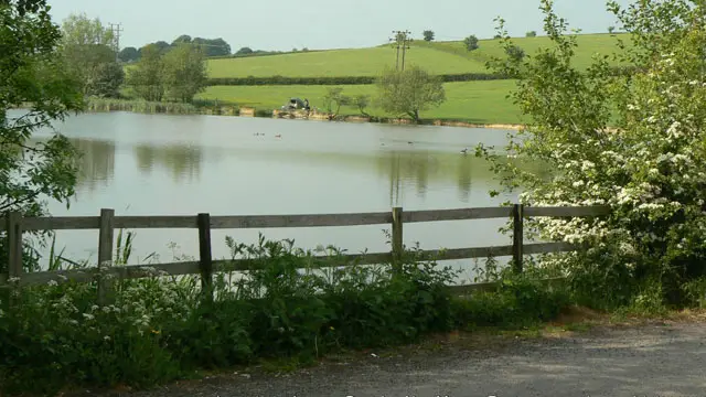 Loscoe Dam Walks, Derbyshire
