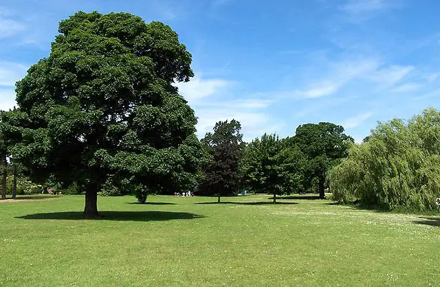 Markeaton Walks, Derbyshire