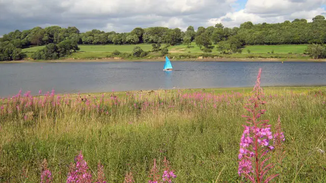 Ogston Reservoir Walks, Derbyshire