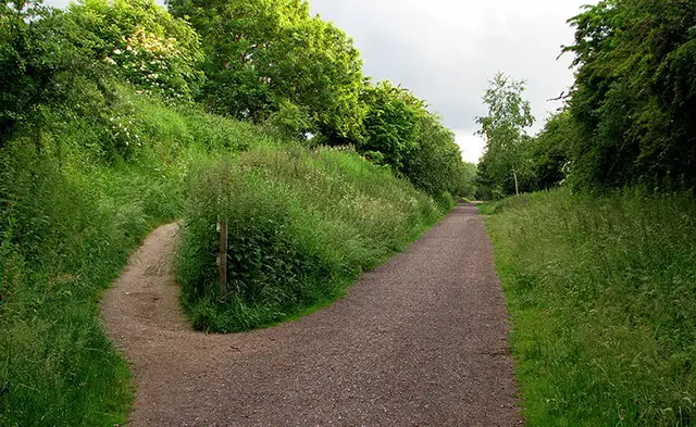 Radbourne Walks, Derbyshire
