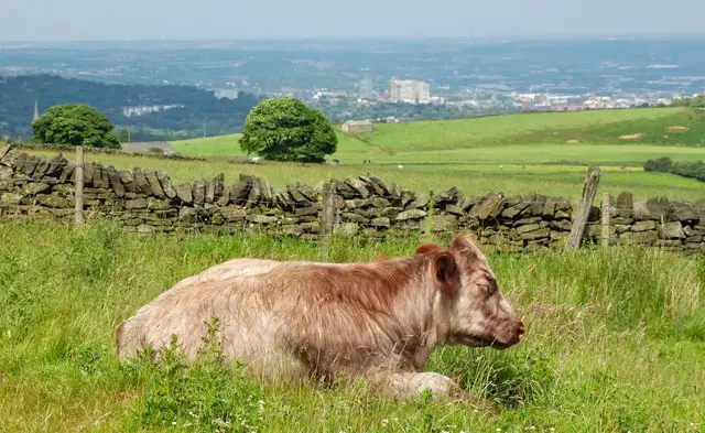 Ringinglow Walks, Derbyshire