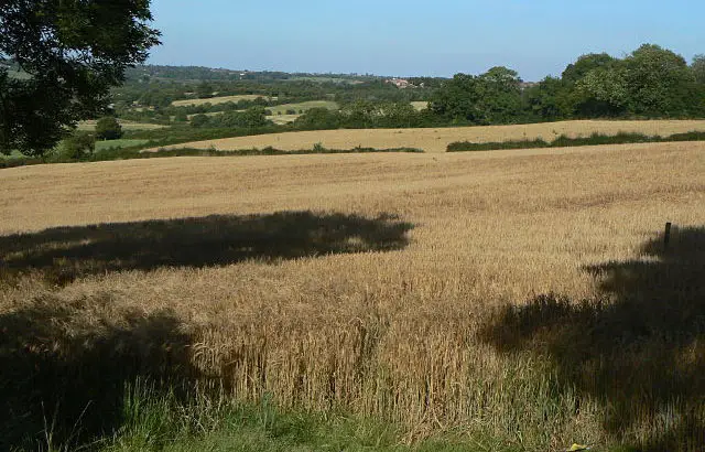 Ripley Walk, Derbyshire