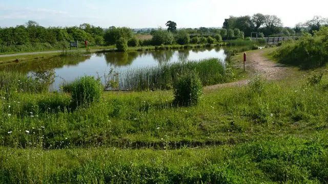 Rosliston Forest Walks, Derbyshire