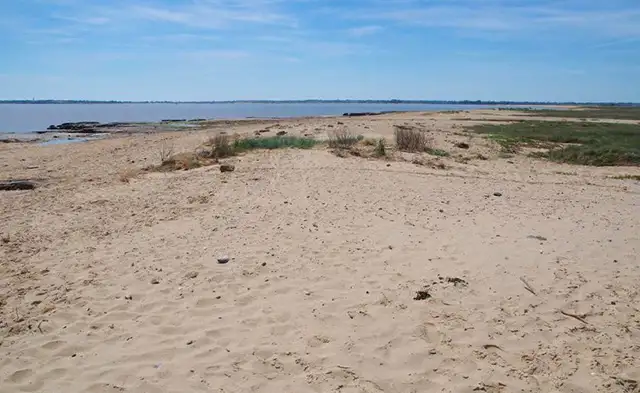 Little Oakley Walk, Essex