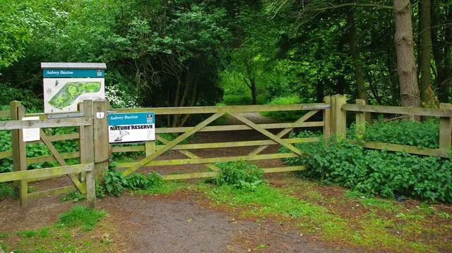 Aubrey Buxton Walks, Essex