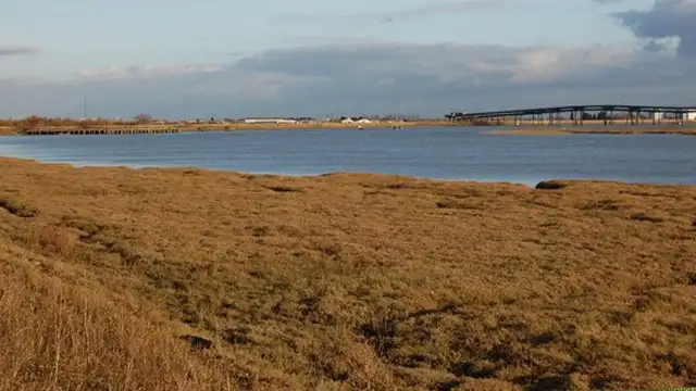 Canvey Wick Walks, Essex