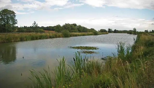 Cherry Orchard Park Walks, Essex