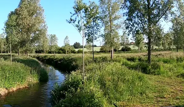 Coggeshall Walks, Essex