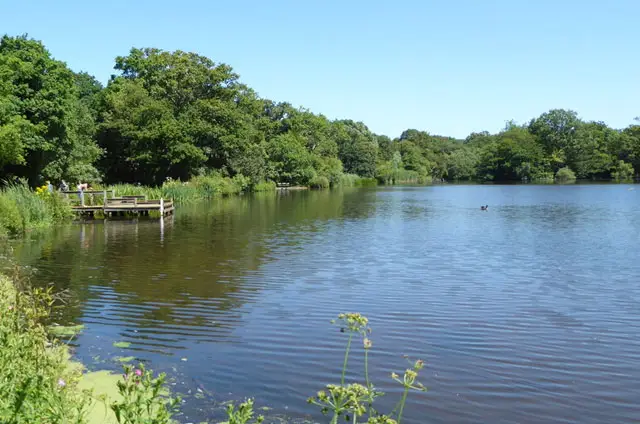 Connaught Water Walk, Essex