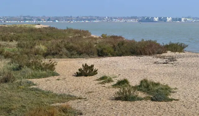 Mersea Island and Cudmore Grove Walk, Essex