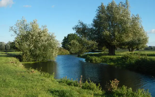 Dedham Walks, Essex