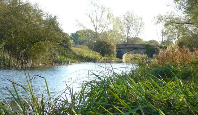 Elms Farm Park Walk, Essex