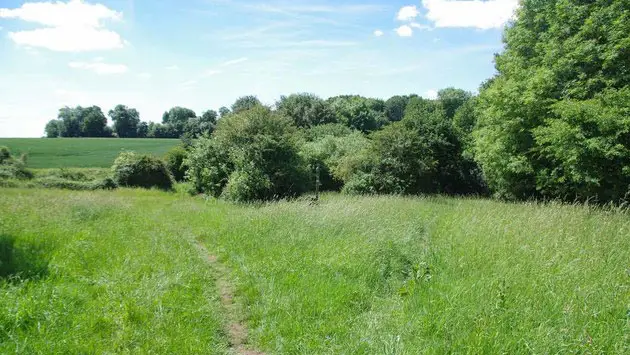 Epping Green Walk, Essex