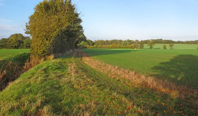 Felsted Walk, Essex