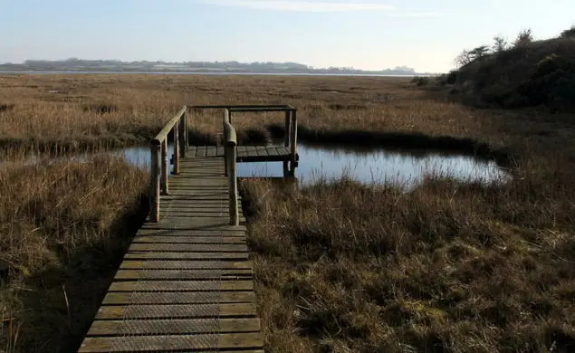 Fingringhoe Wick Walks, Essex