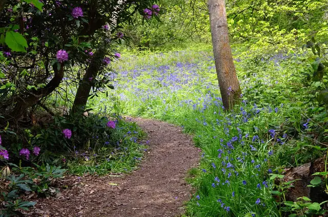 Fordham Walks, Essex