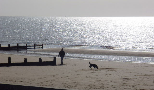 Top 10 Essex Coastal Walks