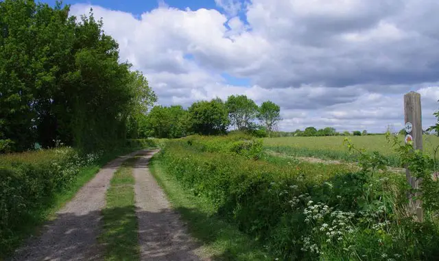 Fyfield Walk, Essex