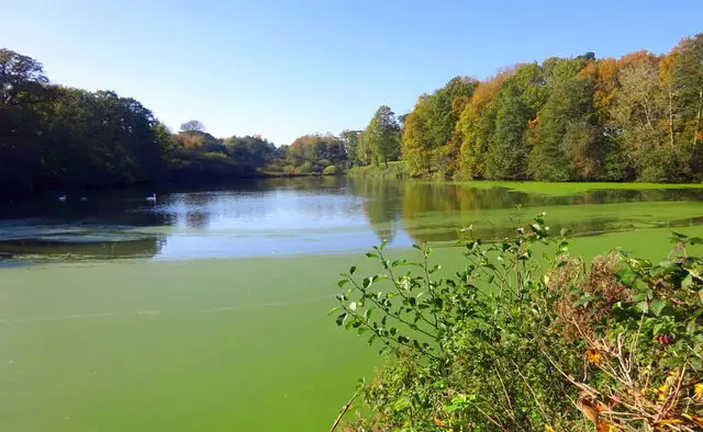Gosbecks Park Walks, Essex