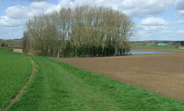 Great Bardfield Walks, Essex