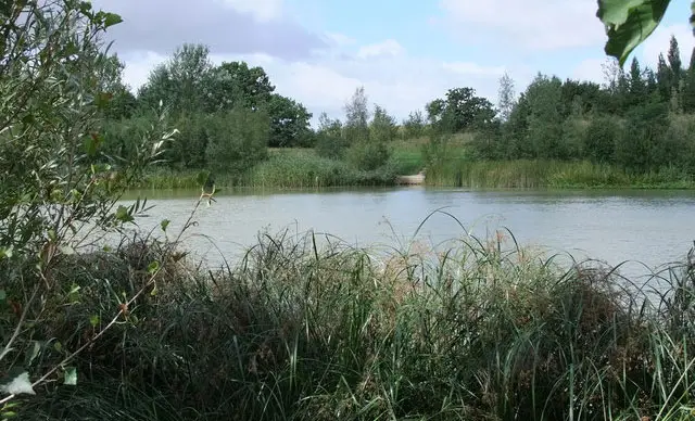 Great Notley Park Walks, Essex
