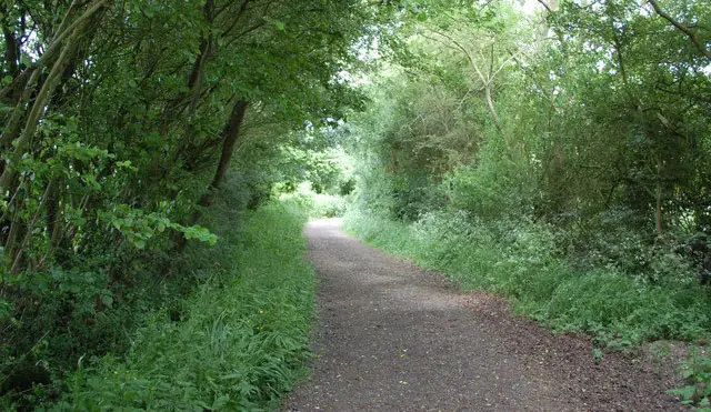 Great Waltham Walks, Essex