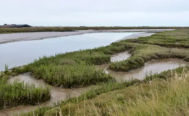 Great Wakering Walks, Essex