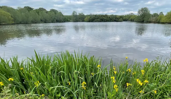 Hainault Forest Walks, Essex