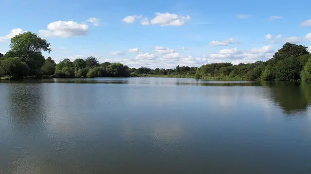 Hatfield Forest Walks, Essex