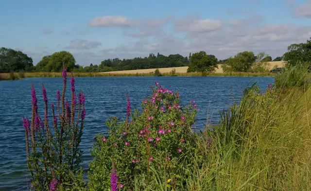 Hatfield Heath Walk, Essex