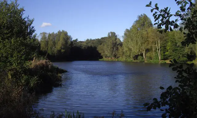 High Woods Walks, Essex