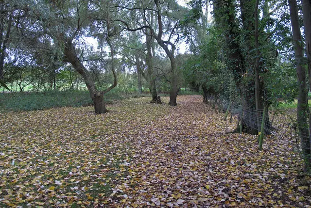 Little Waltham Walk, Essex