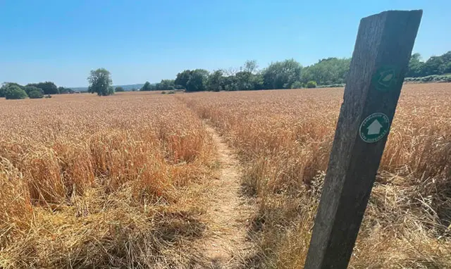 Little Burstead Walk, Essex
