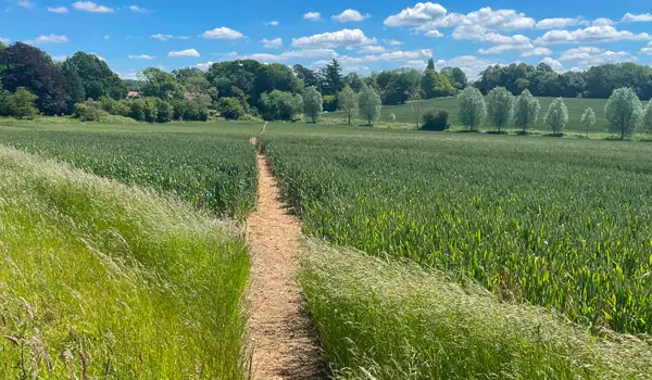 Little Easton Walks, Essex