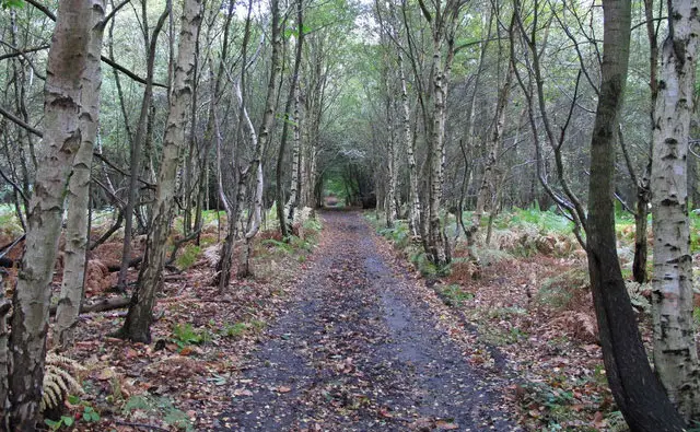 Mill Green Walk, Essex