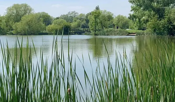 Northlands Park Walks, Essex