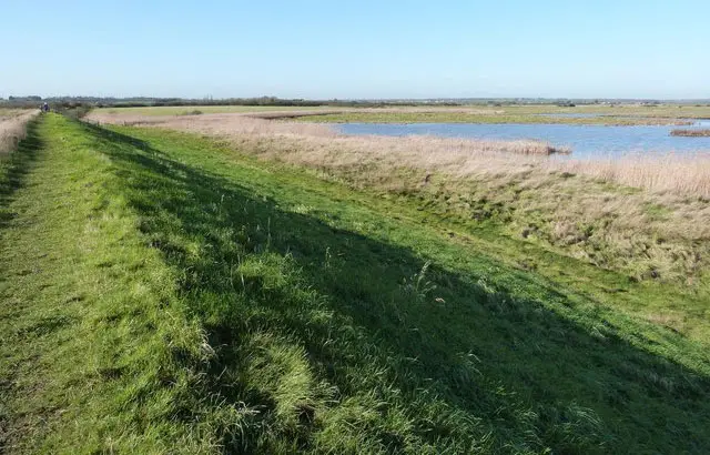 Old Hall Marshes Walks, Essex