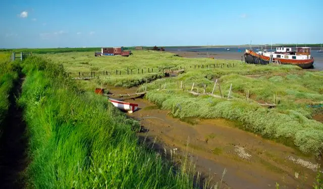 Paglesham Walks, Essex