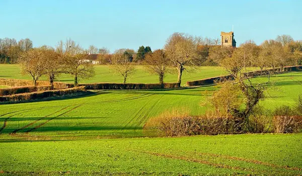 Pleshey Walks, Essex