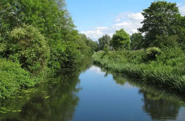 River Blackwater Walk, Essex
