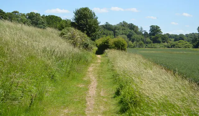 Saffron Waldon Walks, Essex